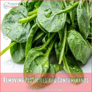 Removing Pesticides and Contaminants