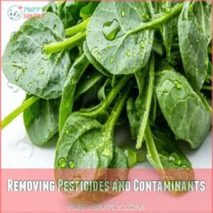 Removing Pesticides and Contaminants