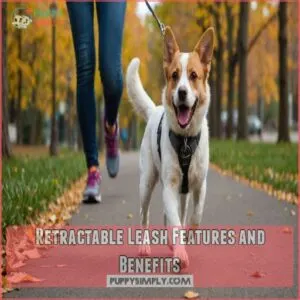 Retractable Leash Features and Benefits