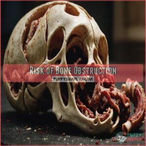 Risk of Bone Obstruction Risk of Bone Obstruction