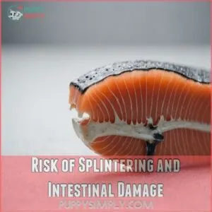 Risk of Splintering and Intestinal Damage