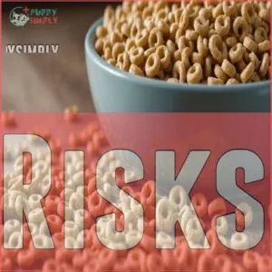 Risks