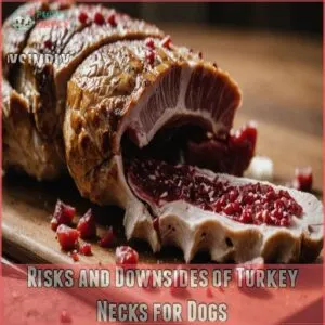 Risks and Downsides of Turkey Necks for Dogs