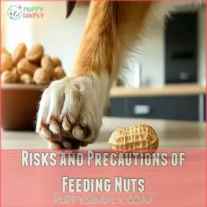 Risks and Precautions of Feeding Nuts