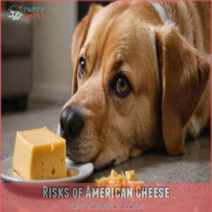 Risks of American Cheese