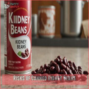 Risks of Canned Kidney Beans