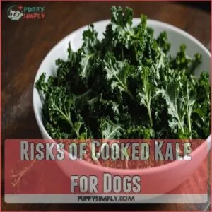 Risks of Cooked Kale for Dogs