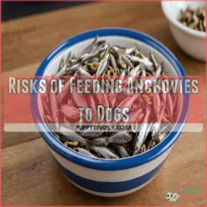 Risks of Feeding Anchovies to Dogs