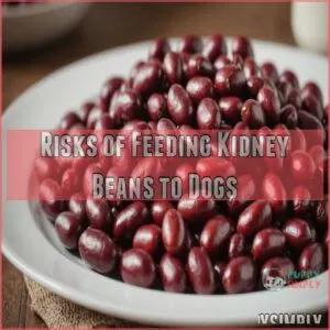 Risks of Feeding Kidney Beans to Dogs