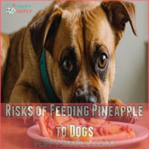 Risks of Feeding Pineapple to Dogs