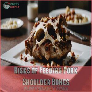 Risks of Feeding Pork Shoulder Bones Risks of Feeding Pork Shoulder Bones
