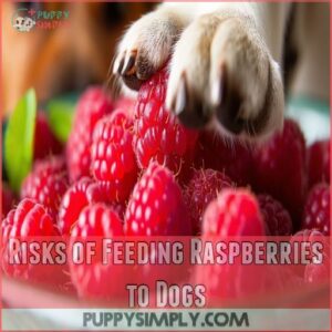 Risks of Feeding Raspberries to Dogs