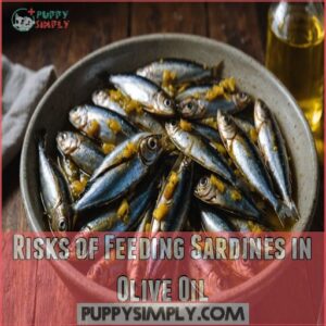 Risks of Feeding Sardines in Olive Oil