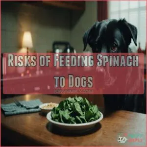 Risks of Feeding Spinach to Dogs