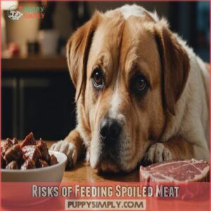 Risks of Feeding Spoiled Meat Risks of Feeding Spoiled Meat