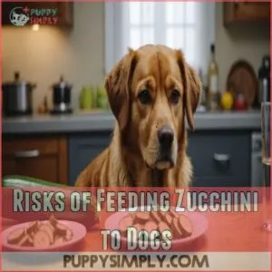 Risks of Feeding Zucchini to Dogs