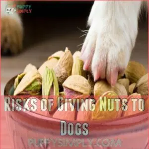 Risks of Giving Nuts to Dogs