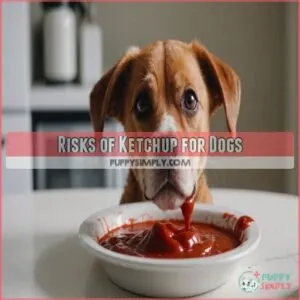 Risks of Ketchup for Dogs