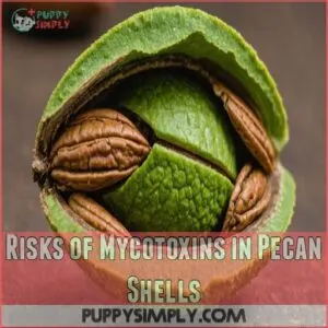 Risks of Mycotoxins in Pecan Shells