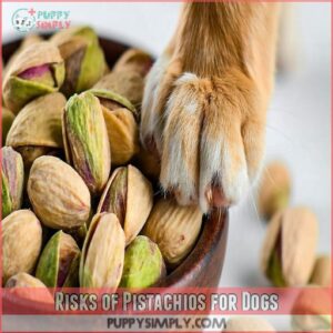 Risks of Pistachios for Dogs