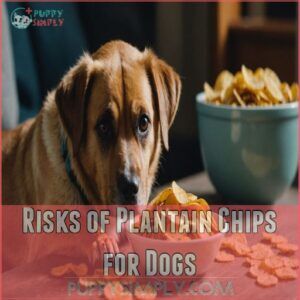 Risks of Plantain Chips for Dogs Risks of Plantain Chips for Dogs