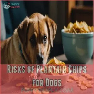 Risks of Plantain Chips for Dogs