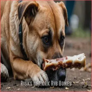 Risks of Pork Rib Bones