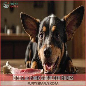 Risks of Pork Shoulder Bones Risks of Pork Shoulder Bones