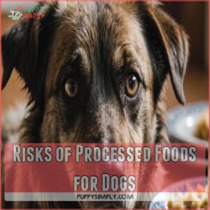 Risks of Processed Foods for Dogs