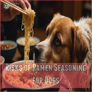 Risks of Ramen Seasoning for Dogs