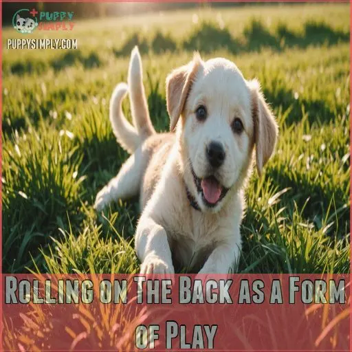 Rolling on The Back as a Form of Play