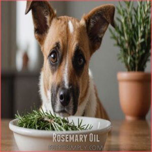 Rosemary Oil