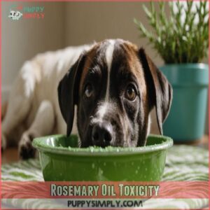 Rosemary Oil Toxicity