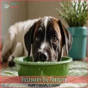 Rosemary Oil Toxicity Rosemary Oil Toxicity