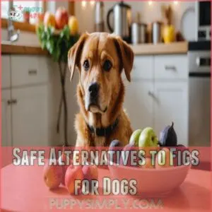 Safe Alternatives to Figs for Dogs