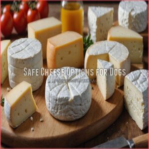 Safe Cheese Options for Dogs