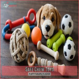 Safe Chew Toys