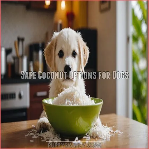 Safe Coconut Options for Dogs