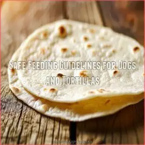 Safe Feeding Guidelines for Dogs and Tortillas Safe Feeding Guidelines for Dogs and Tortillas