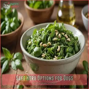 Safe Herb Options for Dogs