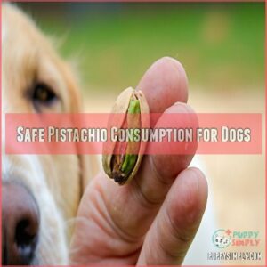 Safe Pistachio Consumption for Dogs