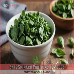 Safe Spinach Portions for Dogs