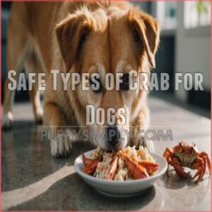 Safe Types of Crab for Dogs