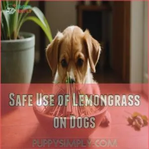 Safe Use of Lemongrass on Dogs