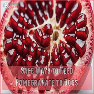 Safe Ways to Feed Pomegranate to Dogs