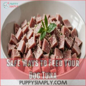 Safe Ways to Feed Your Dog Tuna