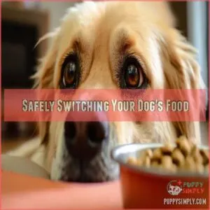 Safely Switching Your Dog