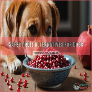 Safer Fruit Alternatives for Dogs