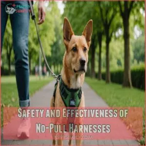 Safety and Effectiveness of No-Pull Harnesses