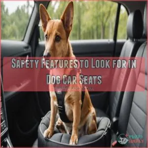 Safety Features to Look for in Dog Car Seats